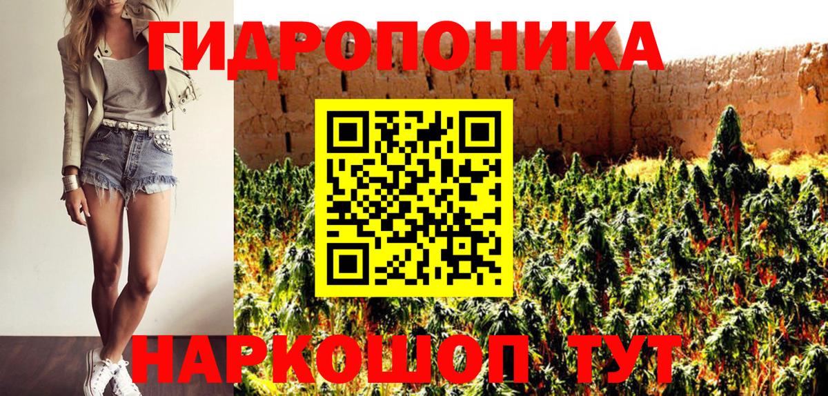 Каннабис конопля  Конопля план  Вход с VPN  Курганинск  Канабис гибрид  МАРИХУАНА индика 